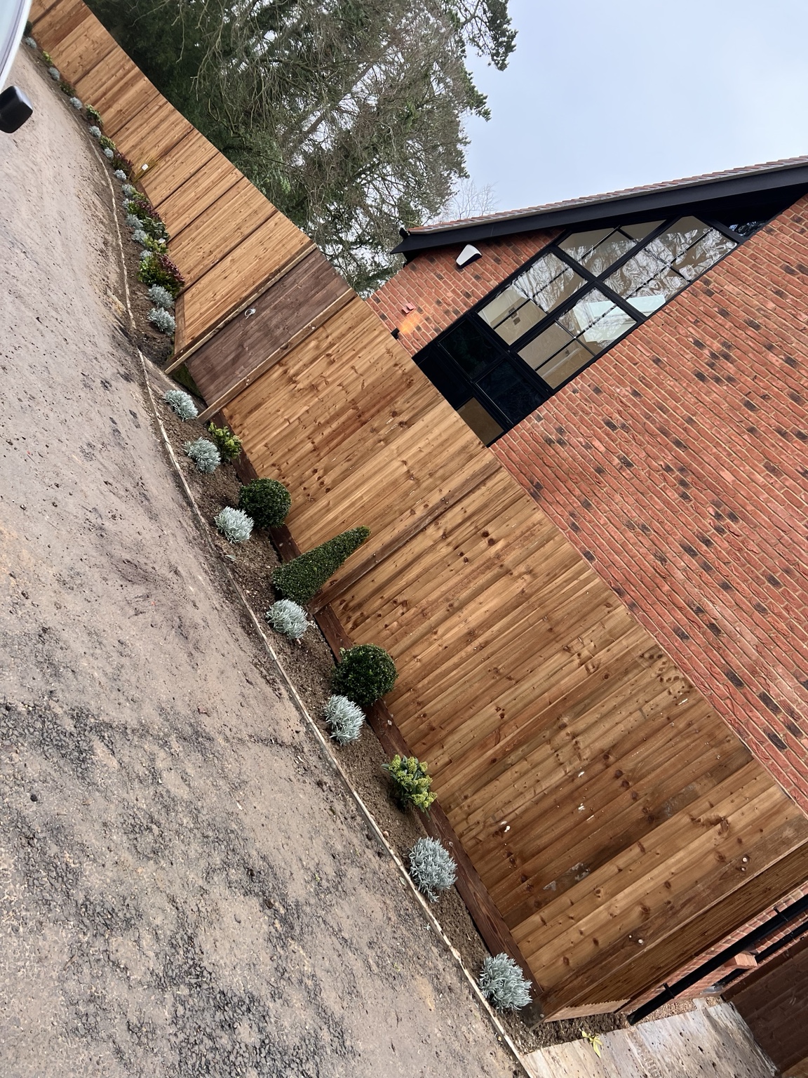Long run of timber feather-edge fencing