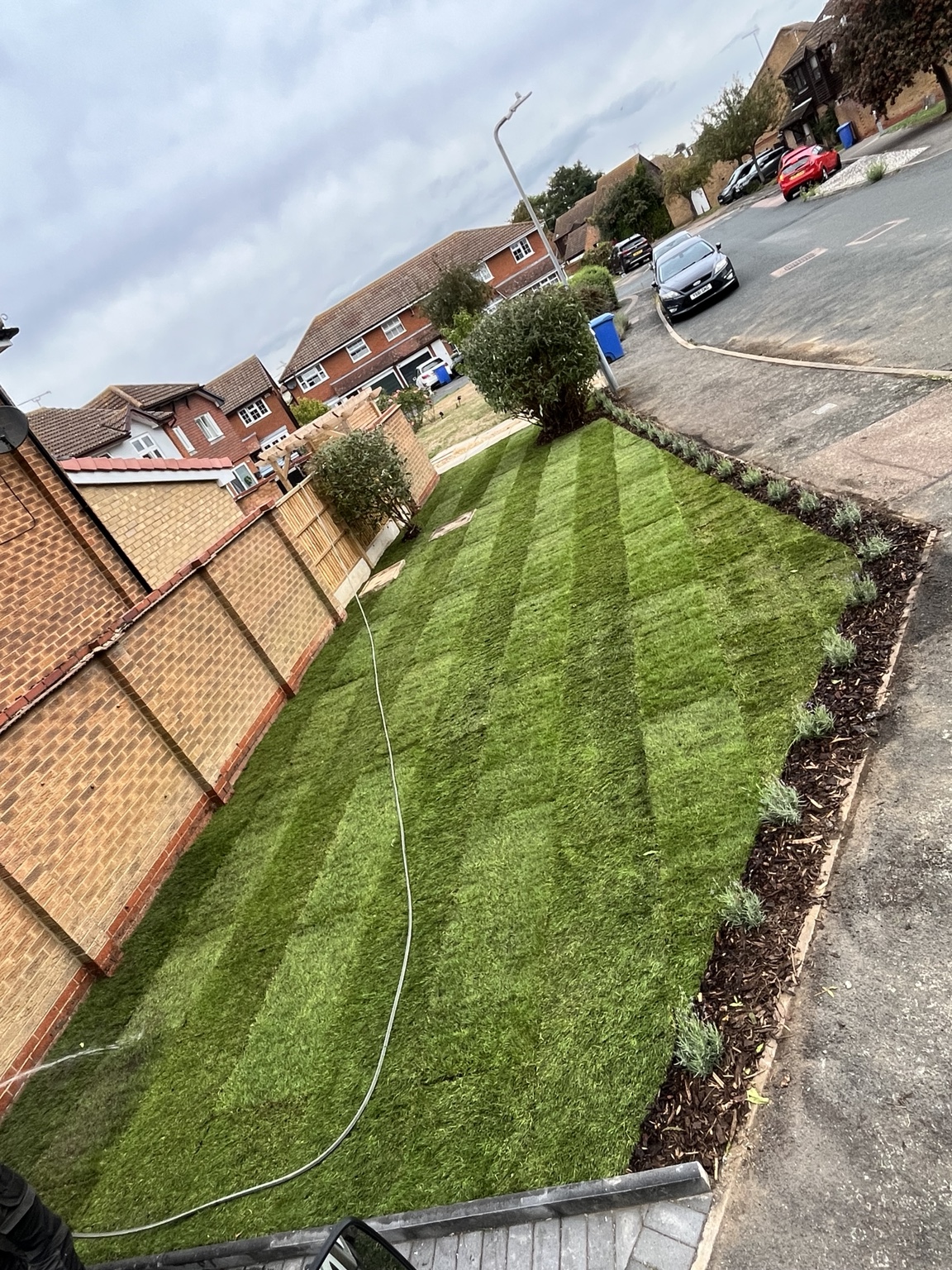 New lawn