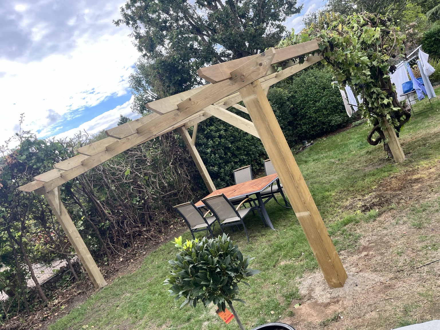 Large bespoke timber pergola